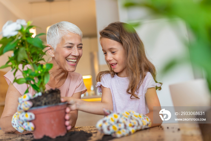 Happy Grandmother with her granddaughter taking care of plants at home. Gardening, family and people concept - happy grandmother and granddaughter caring for house plant