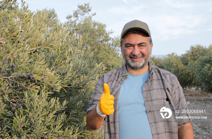 farmer man at farming field