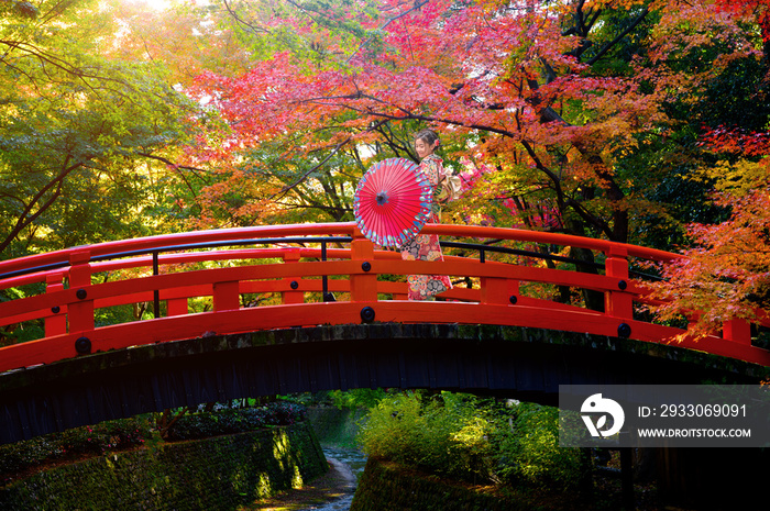 woman in old fashion style wearing traditional or original Japanese dressed, walks alone on middle of the wooden bridge village in morning, japan old fashion style attractive