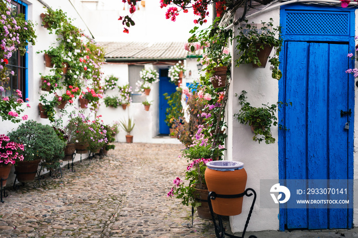 Typical andalusian courtyard in Cordoba, Andalusia Spain