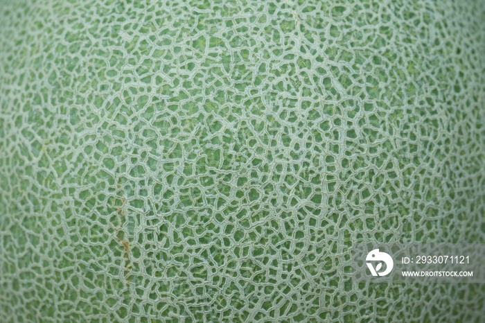 Skin of cantaloupe melon background and texture