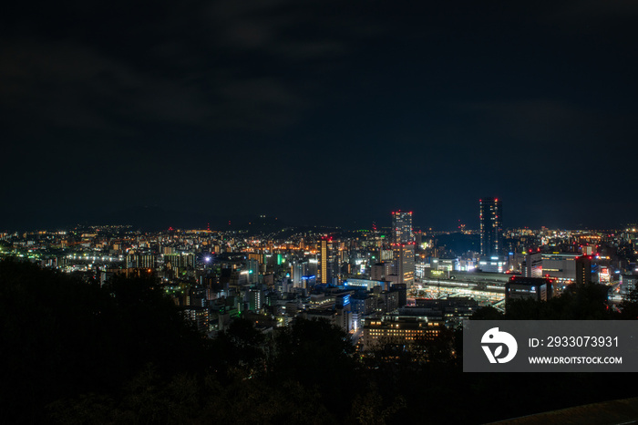 広島県広島市の二葉山からみる夜景