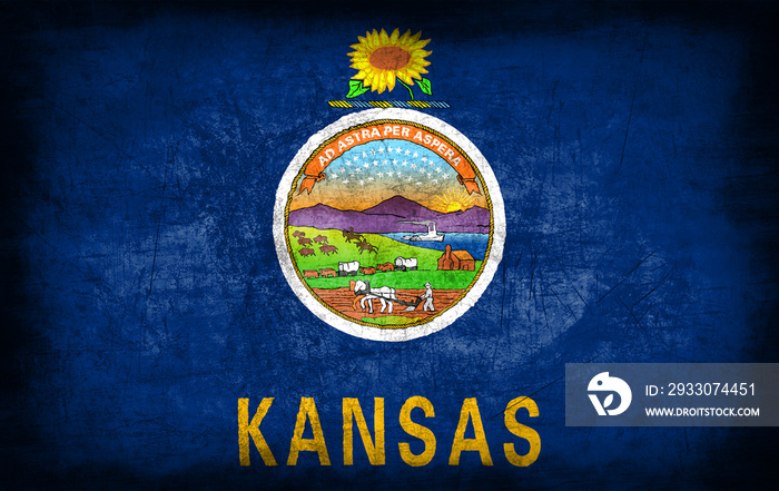 Kansas flag with grunge metal texture