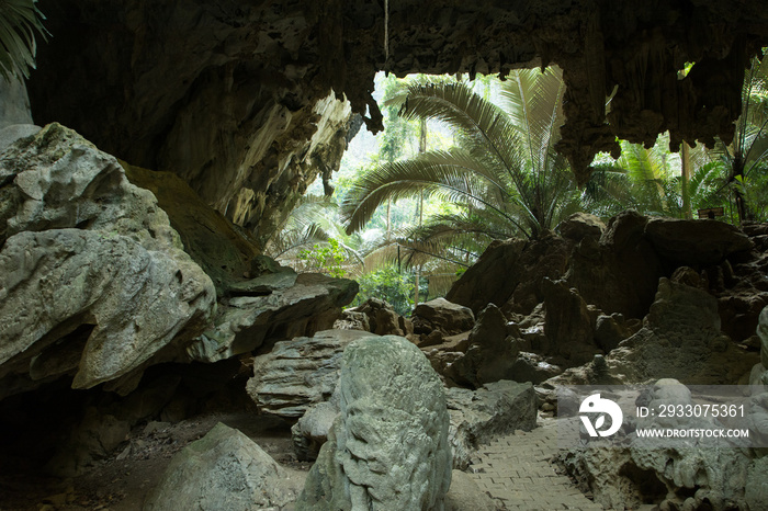 Ancient Big cave in the Old Forest