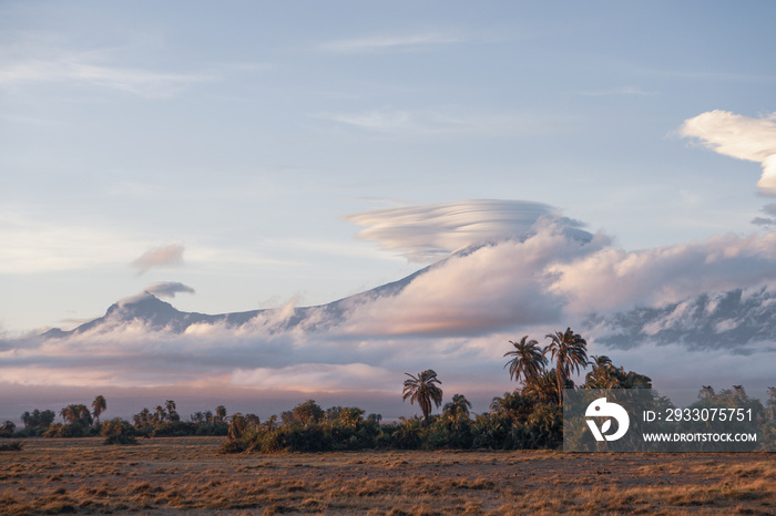 Beautiful view of the majestic Mount Kilimanjaro seen from Amboseli National Park, Kenya. Palm trees in the foreground, cool cloudscape. Slightly toned down colours, early morning light.