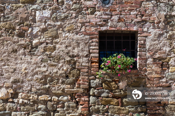 Medieval wall window