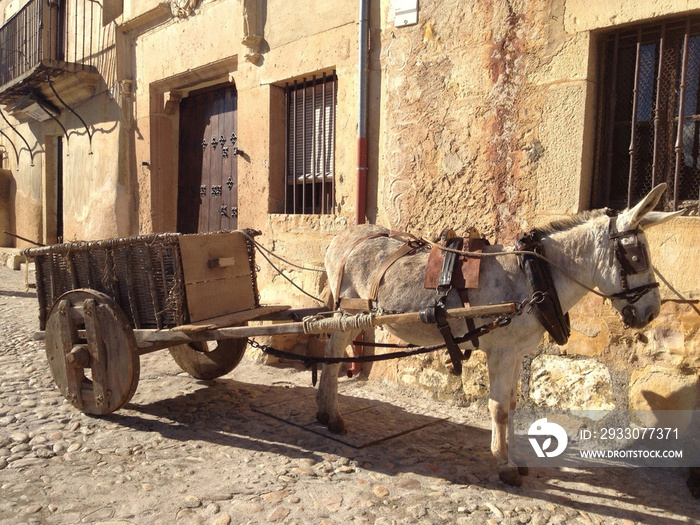 Empty donkey cart alongside road