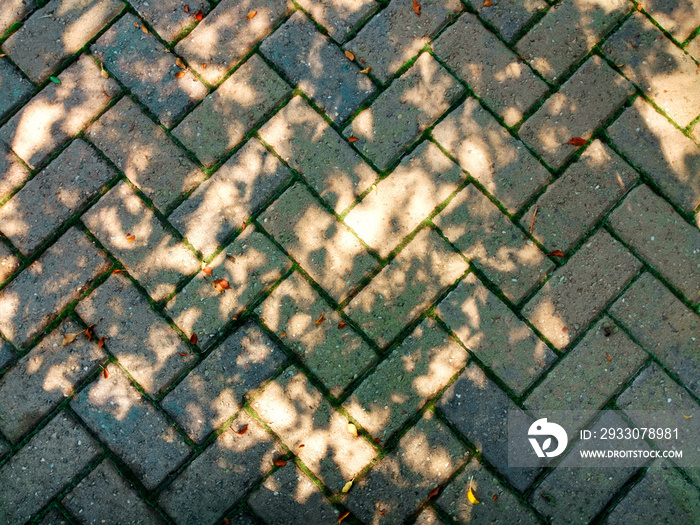 vintage cobblestone path sunny shadows garden park walkway brick road street backyard retro pathway