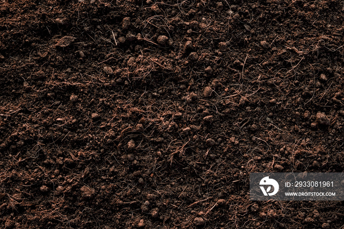 Soil texture background, Fertile loam soil suitable for planting.