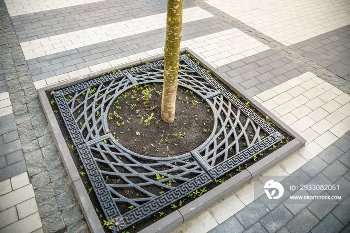 Steel gray trellis around the tree trunk on the sidewalk