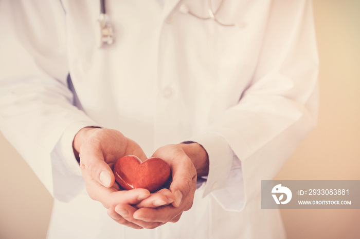 Doctor holding red heart with stethoscope, heart health,  health insurance concept