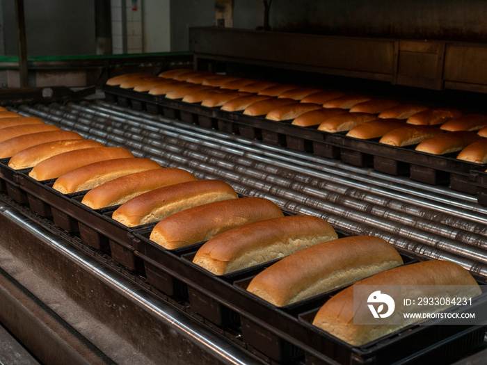 Industrial process of making bread and rolls in a bakery factory