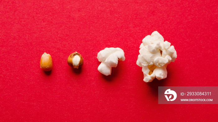 Stages of preparation of corn kernels on red table, top view