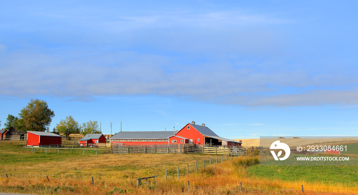 Barn in the middle of Prairies in Alberta,Canada