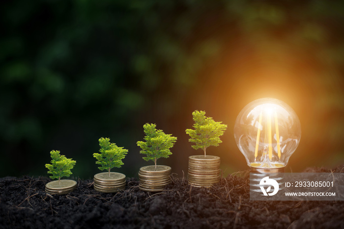 Big tree on money and lightbulb with light on soil and green nature background. Saving money for the future, education, investment and retirement. The tree represents the growth of saving money.