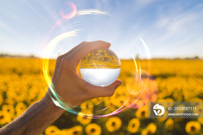 Energia dalla natura alla mente, stare a contatto con i fiori è rigenerante.