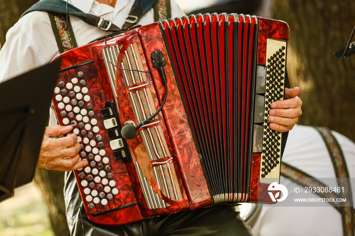 Male playing on the accordion against a grunge background