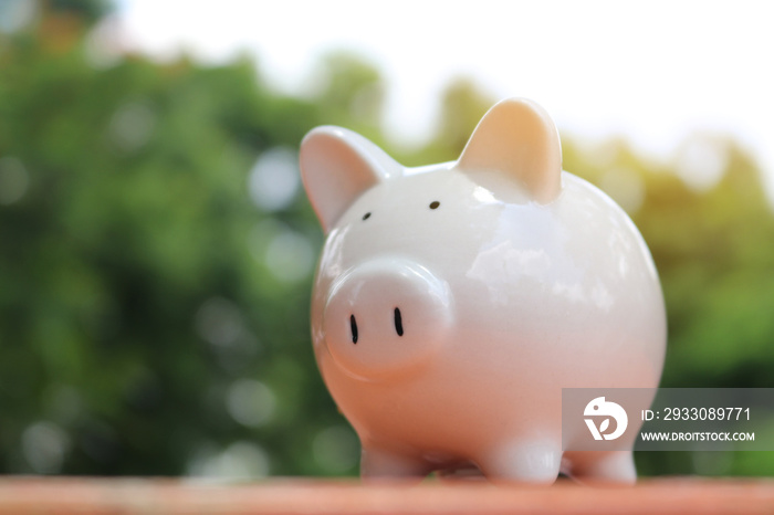 Piggy bank on floor concept for saving with bokeh outdoor green nature background.