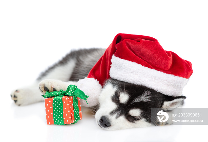 Siberian Husky puppy wearing a red christmas hat sleeps with small gift box. isolated on white background