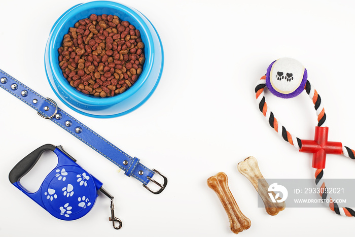 From above shot of blue leather leash, bones and bowl of puppy chow.