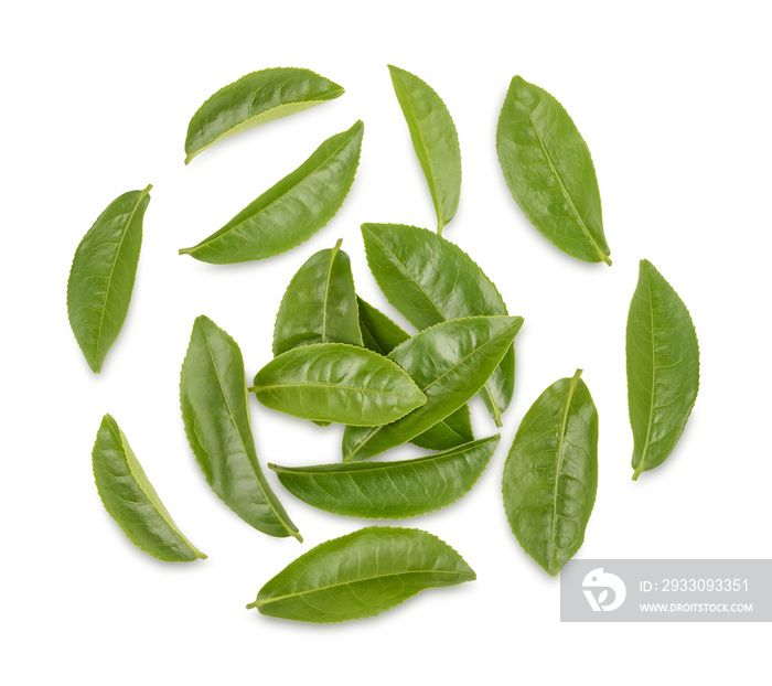 Green tea leaves isolated on transparent background. (.PNG)