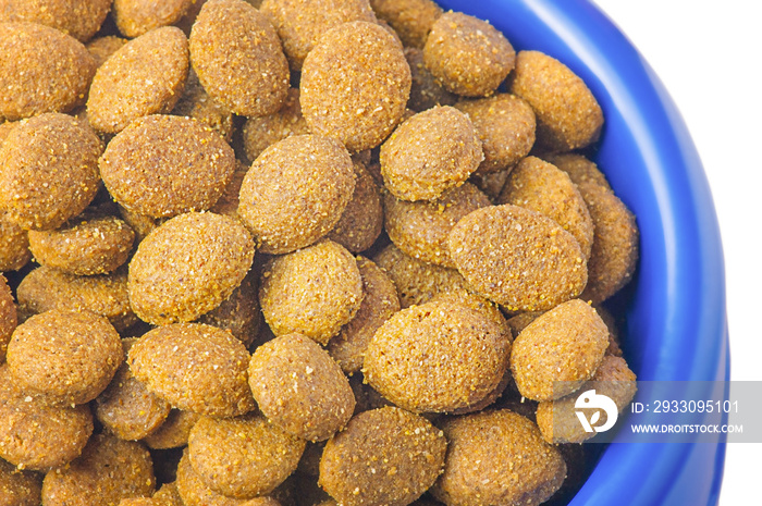 Dry food croquettes for cats or dogs in a blue bowl. Food for animals, pets.