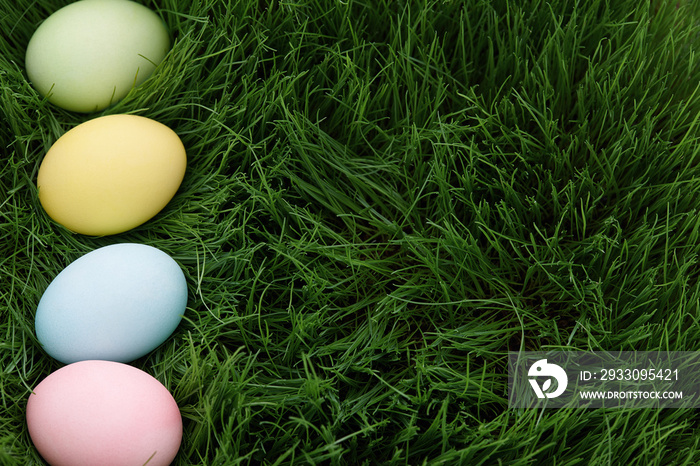 Colorful easter eggs in grass, top view