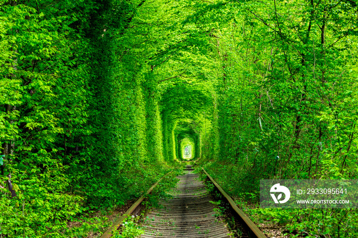 a railway in the spring forest tunnel of love