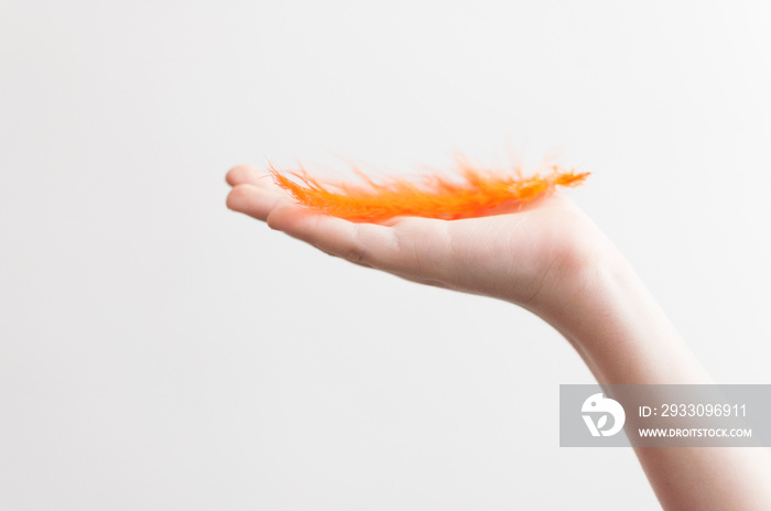 Child’s hand holding orange feather over white background