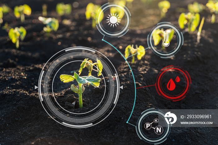 Smart farm technology for detection and control system of Plant sprout growing with red alert icon of low humidity. Innovation technology for agriculture