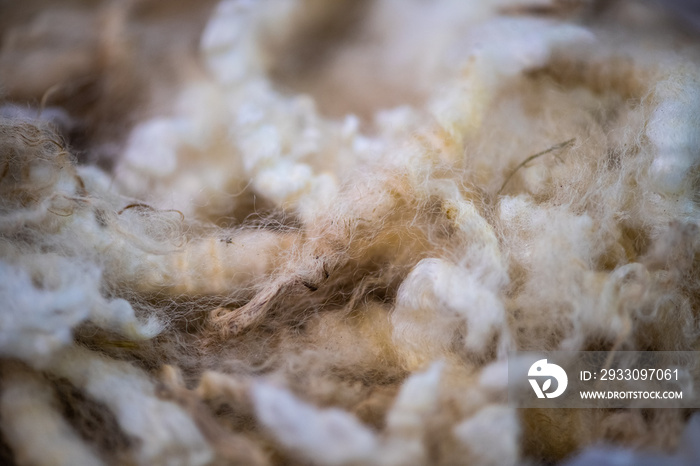 Raw Wool