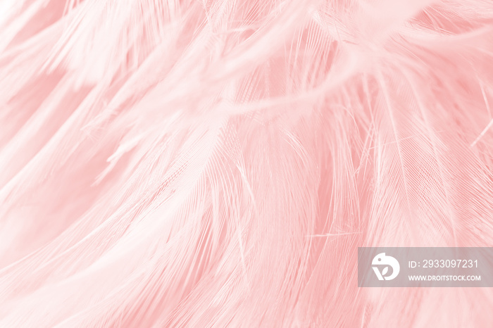 soft pink vintage color trends chicken feather texture background