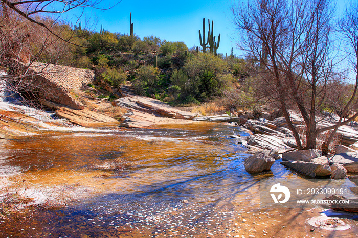 Sabino Canyon Creek in Tucson, Arizona