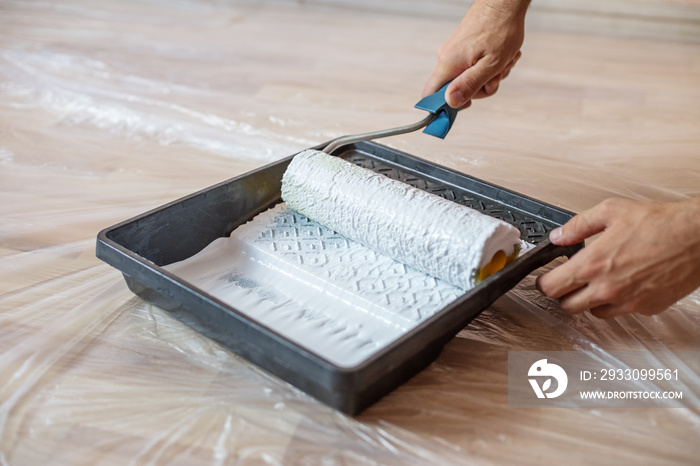 Close up of paint roller in tray. Closeup view of paint tray filled with white paint. Tools for the painter and redecoration