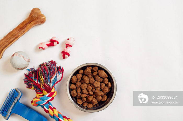 Dog food in metallic bowl and accessories on white background