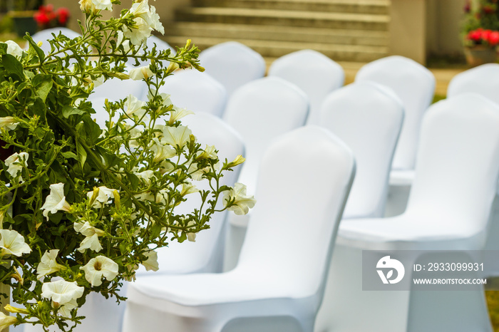 Many wedding chairs with white elegant covers