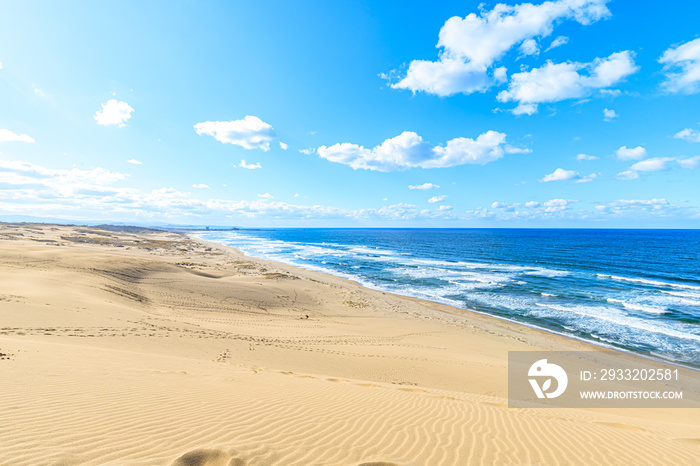 秋の鳥取砂丘　鳥取県鳥取市　Tottori Sand Dunes in Autumn. Tottori-ken Tottori city