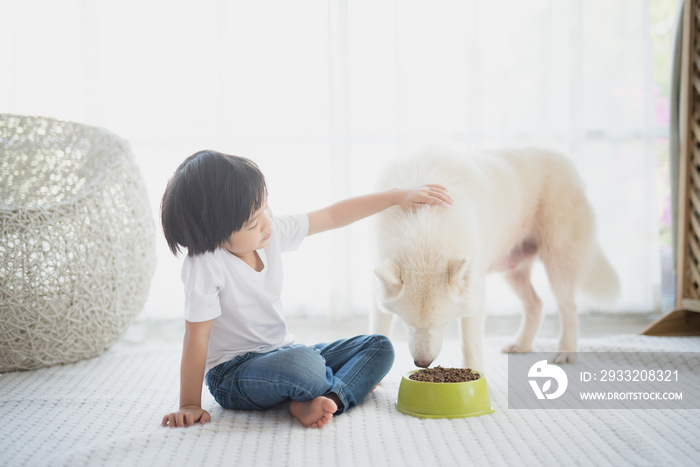 亚洲儿童喂养西伯利亚哈士奇犬