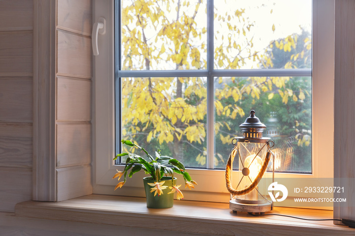 Blooming yellow Christmas Cactus schlumbergera on windowsill, candles, lantern. Golden autumn backgr