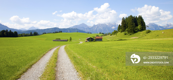 Wanderweg im Allgäu