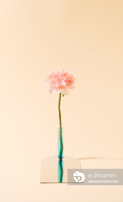 Artificial flower in a test tube on a mirror surface. Pastel yellow virtual nature minimal concept.