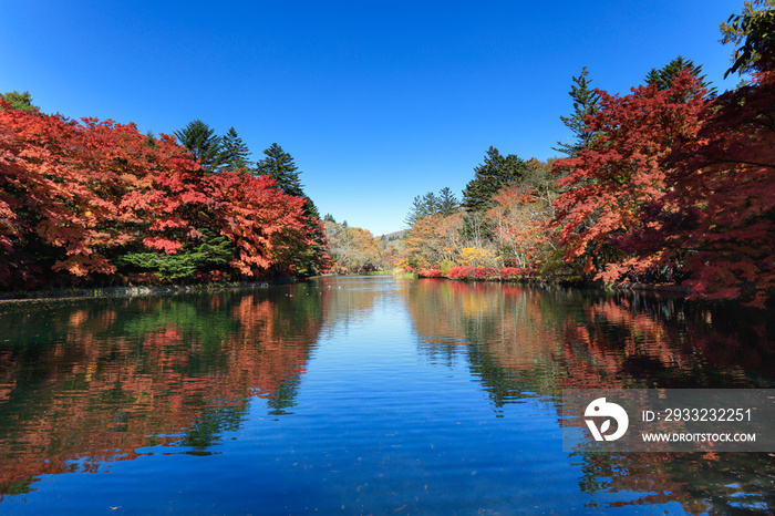 Karuizawa Kumoba Pond in autumn with autumn leaves under the blue sky