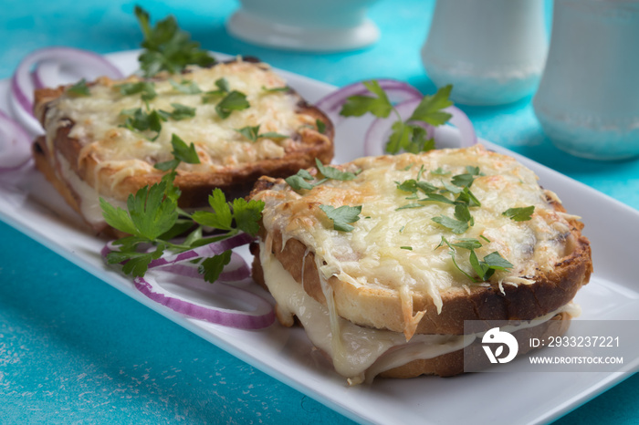 French croque monsieur sandwich