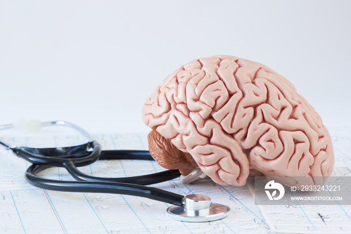 Human brain model and stethoscope on background of brain waves from electroencephalography