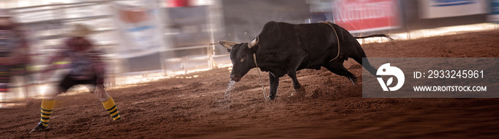 愤怒的公牛在Rodeo对抗斗牛士
