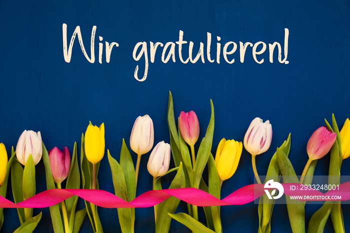 German Text Wir Gratulieren Means Congratulations. White And Pink Tulip Spring Flowers With Ribbon. 