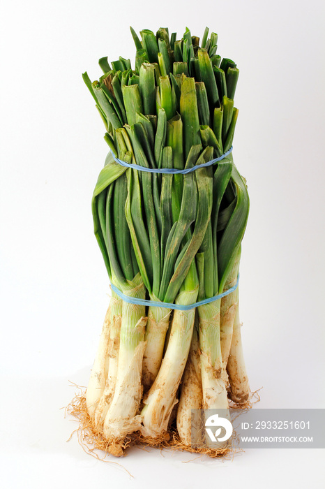 Calçots. Typical variety of onions in Catalonia. Spain