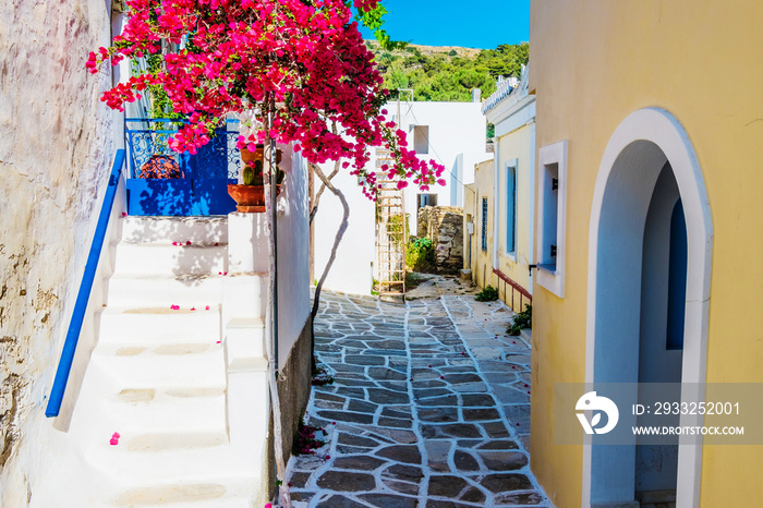 风景优美的小巷，有美丽的粉红色九重葛花和黄色的房屋墙壁。色彩鲜艳的希腊风格