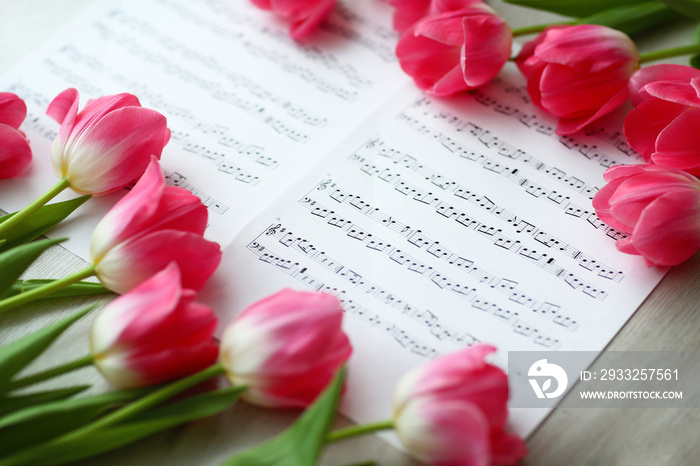 白色桌子上的乐谱上有粉红色的新鲜郁金香，特写