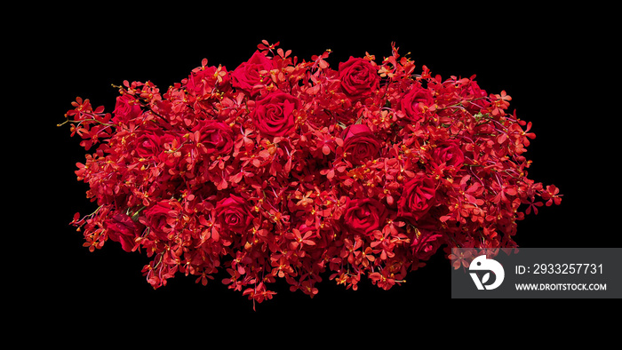 红玫瑰和热带红兰花插花自然背景，红花灌木隔离